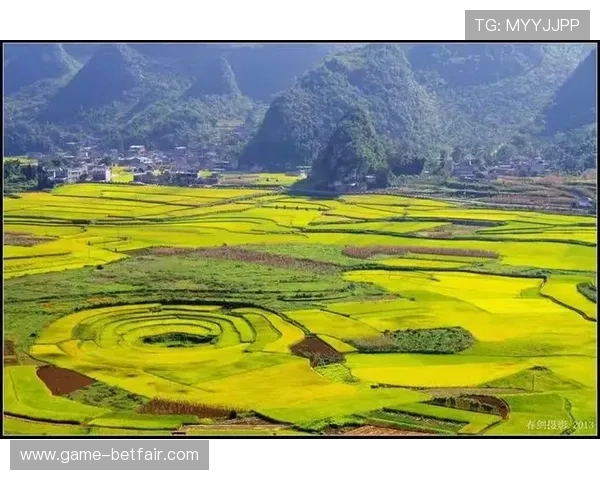 快乐之都:绿色生态与可持续发展在提升城市幸福指数中的作用 快乐之都:绿色生态与可持续发展在提升城市幸福指数中的作用