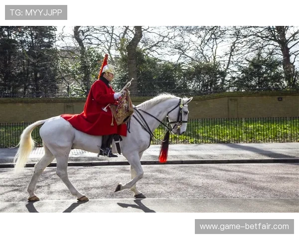 皇家真人斗牛官方下载平台有哪些优质选择及下载注意事项